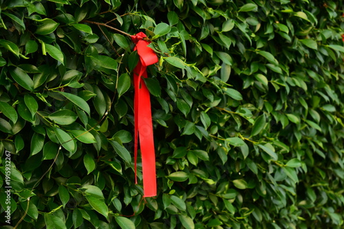 red ribbon on green leaf background
