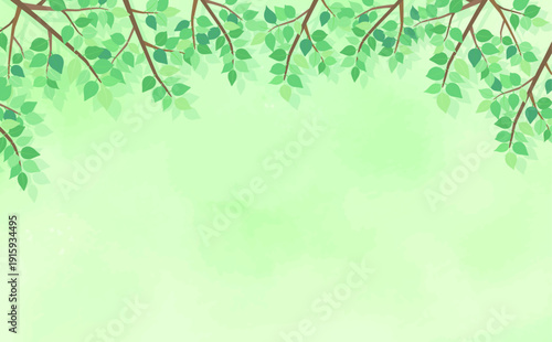 新緑の葉の背景2_横