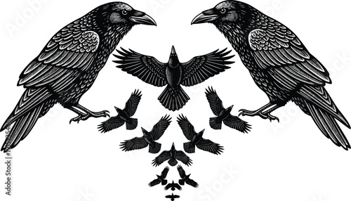 Raven Silhouette Set with Flying Crows in Symmetrical Gothic Composition Isolated on White Background Vector Illustration