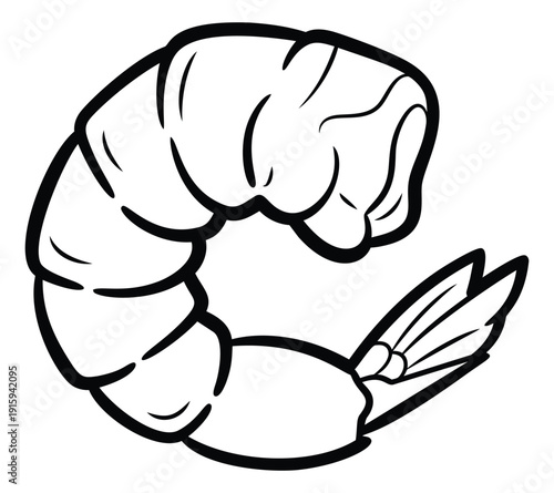 Hand drawn line art illustration of a peeled shrimp depicting a curled shape for seafood menus
