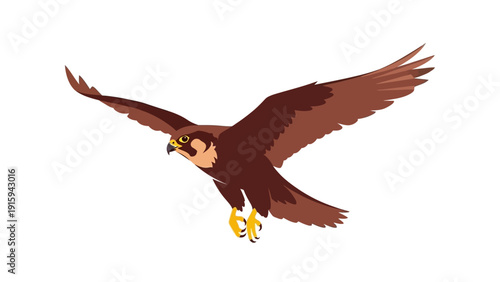 Peregrine Falcon in Flight, Brown Bird of Prey with Wings Spread Wide, Hunting