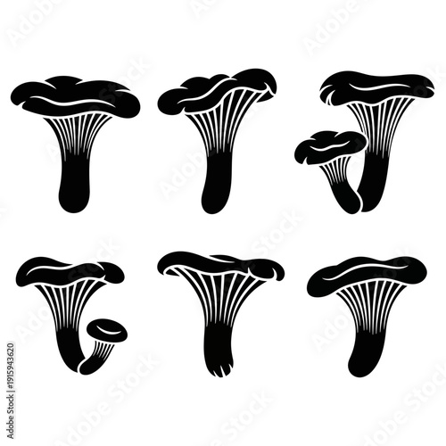 Set of Black Chanterelle Mushroom Silhouettes, Vector Illustration