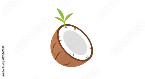 Half coconut with a green sprout growing from it.