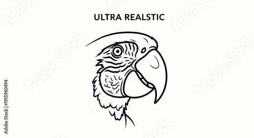 Ultra Realistic Parrot Head Sketch - Detailed Line Art of a Macaw's Face