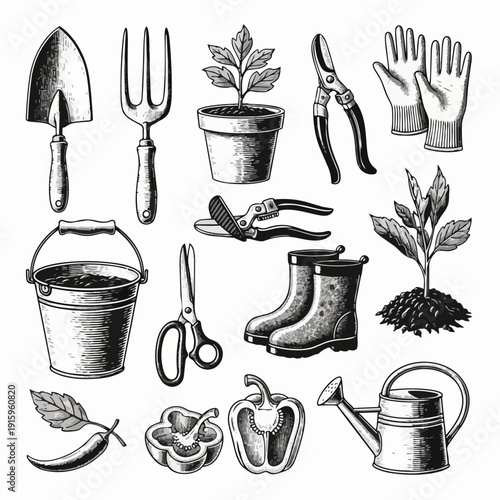 Collection of Gardening Tools and Plants Illustration.