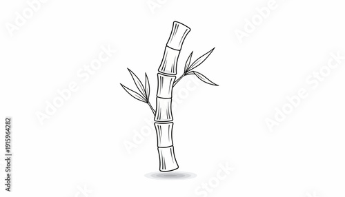 Minimalist Bamboo Stem Drawing with Leaves and Shadow