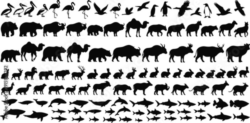 Collection of animal silhouettes including birds, mammals and aquatic species arranged in rows, black wildlife vector illustration design set