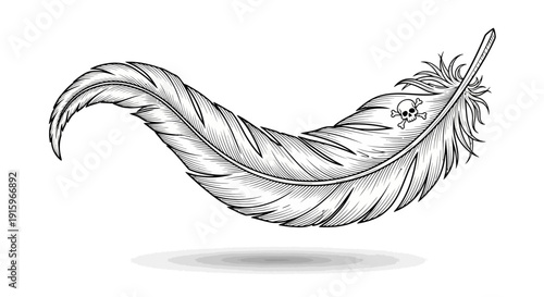 Elegant Feather with Skull Symbol, Black and White Sketch, Symbol of Danger and Fragility