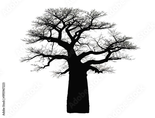 Black and white silhouette of a large tree with extensive branches and sparse leaves
