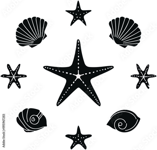 A black background featuring a starfish and various sea shells, highlighting their natural shapes and patterns