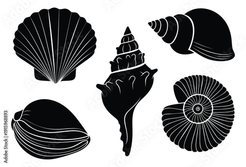Hand drawn line art seashell set featuring various marine shells for summer and ocean themed projects