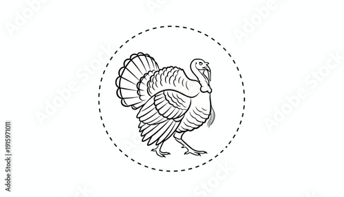 Black and White Line Art of a Turkey Walking Inside a Dotted Circle