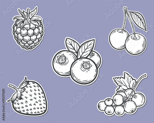 A set of berry stickers, currant, raspberry, strawberry, blueberry, cherry, garden berries, engraving isolated