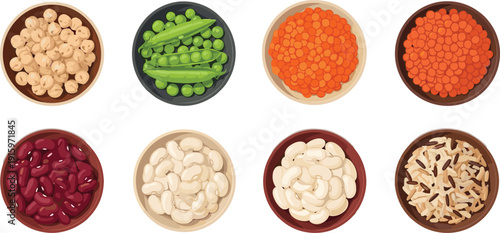 Professional top-down illustration set featuring bowls of chickpeas, green peas, lentils, kidney beans, white beans, and wild rice for healthy nutrition and culinary design