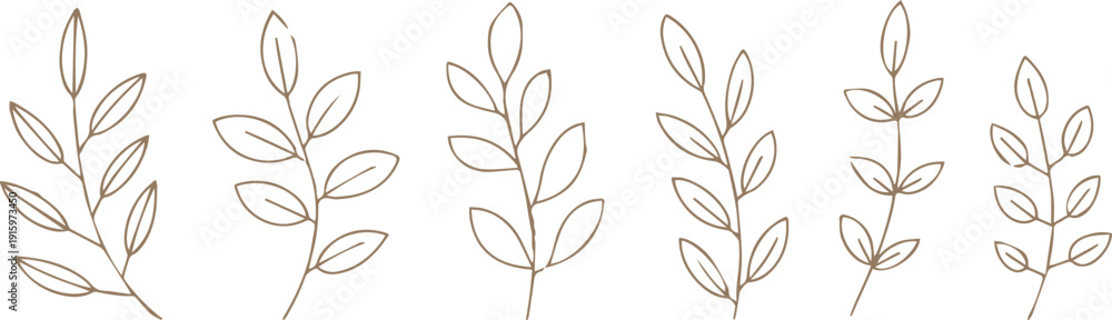 Obraz premium leaf branch outline drawings six botanical elements for design