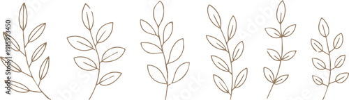 leaf branch outline drawings six botanical elements for design