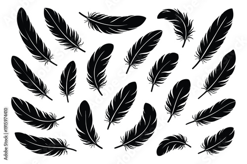 Silhouette feather set featuring various black bird plumes for decorative design