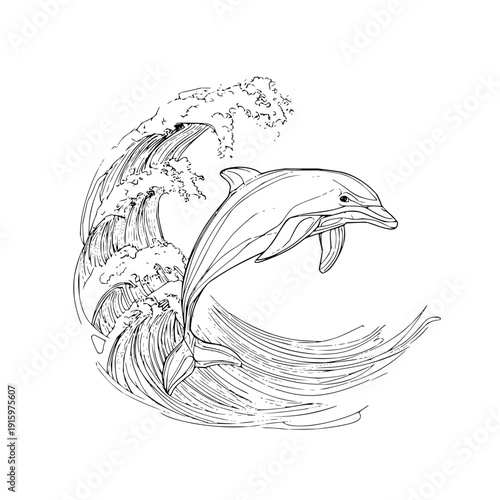 Detailed line art depicts a dolphin leaping out of a large wave in a dynamic circular composition