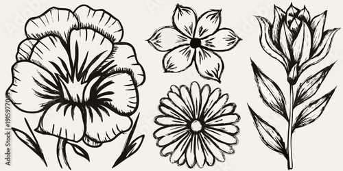 Vintage botanical illustration featuring detailed sketches of various flowers