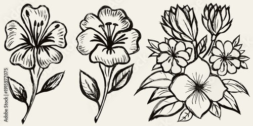 Vintage botanical illustration of delicate floral arrangements in dark ink