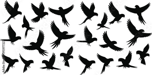 Black parrot silhouette collection, flying macaw and tropical bird vector set, exotic jungle wildlife, cad drawing flat vector illustration, nature, animal, avian,