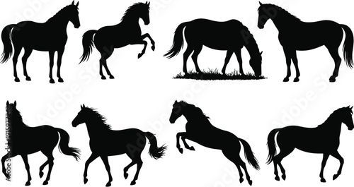 Black horse silhouette collection, stallion and mare equestrian vector set, rearing and galloping poses, cad drawing flat vector illustration, nature farm animal,