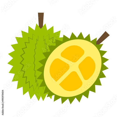 Spiky Durian King of Fruits with Yellow Flesh Vector