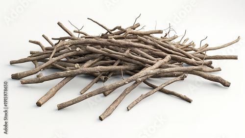 pile of tree branch texture isolated on white background, wood, twig, firewood