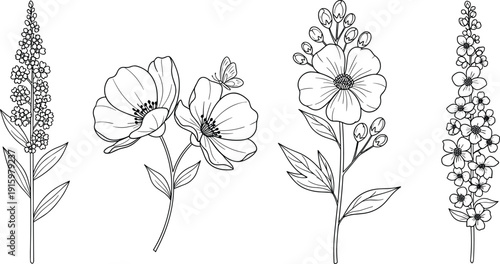 Set of hand drawn floral line art elements and wildflower sketches with delicate petals leaves and blossoms cad drawing flat vector illustration