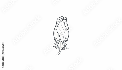 Hibiscus Flower Bud Silhouette, Unopened Bloom, Delicate Petals, Botanical Line Art