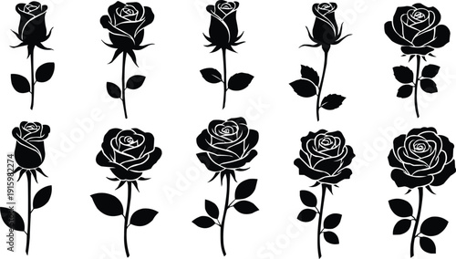 Seamless floral pattern featuring a vector set of poppy flowers and rose buds with green leaf illustrations for nature-inspired summer art decor.