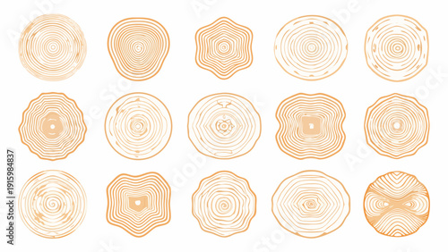 Collection of orange tree rings in various shapes and sizes