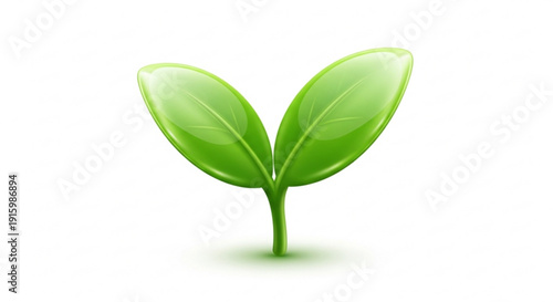 Green plant sprout with two leaves growing upwards on white background