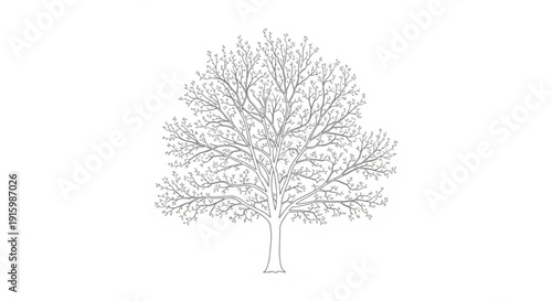 Bare tree with sprawling branches on white background