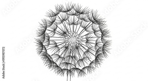 Dandelion flower with seeds dispersing on white background