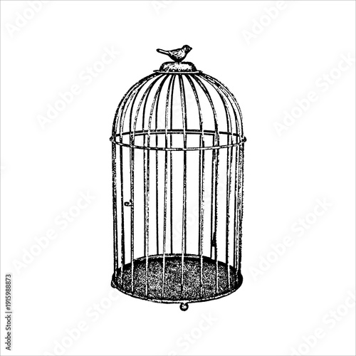 Hand drawn vintage birdcage illustration