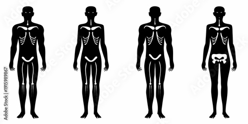 Four silhouetted figures depicting human anatomy and skeletal structure