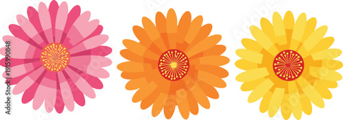 Colorful Daisy Flower Illustration Set Featuring Pink Orange and Yellow Blossoms in Modern Flat Vector Design Isolated on White