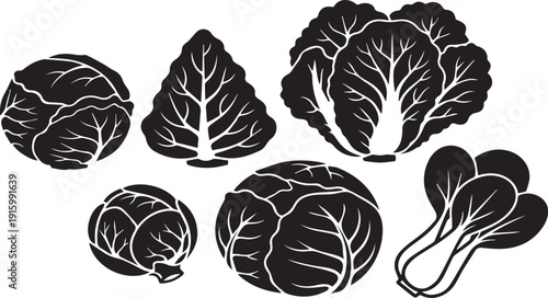 Various healthy cabbage and lettuce silhouettes are displayed on a clean white background.