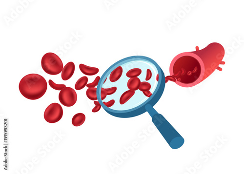 Detailed medical concept of red blood cells moving through an artery viewed with magnifying glass on white background. Stock illustration.