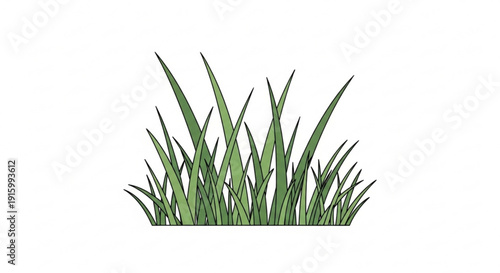 Green grass blades on white background natural foliage illustration
