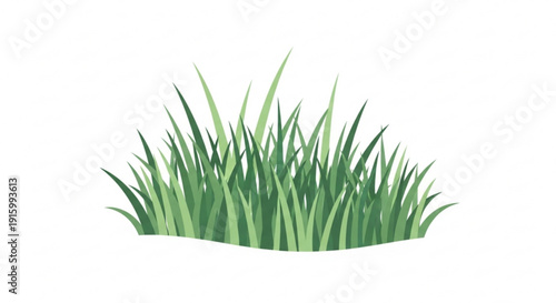 Green grass blades on white background natural scenery element