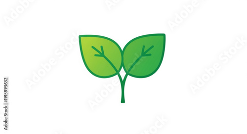 Two green leaves with stem on white background symbolizing nature and growth