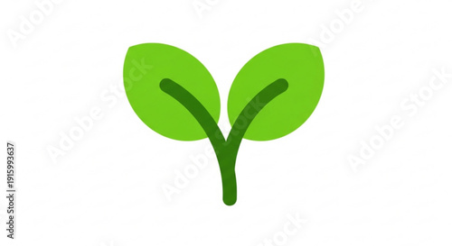 Green sprout with two leaves growing upwards on white background