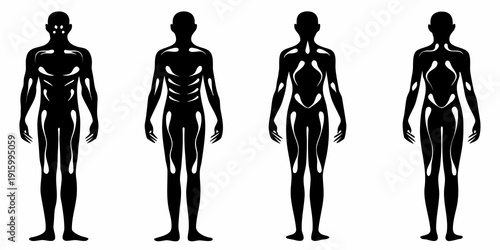 Four silhouettes displaying human anatomy with highlighted muscle groups