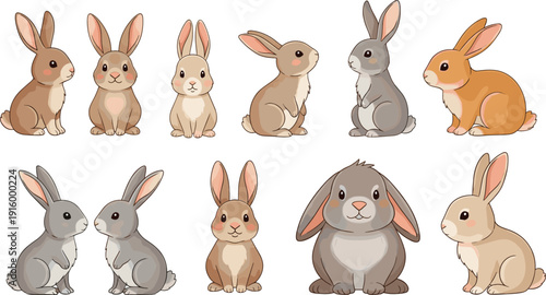 Cute rabbit and bunny collection vector set with different poses and cartoon animal illustrations
