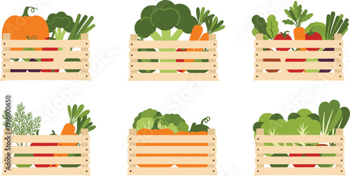 Fresh vegetable crate collection vector illustration with organic farm produce in wooden boxes isolated set