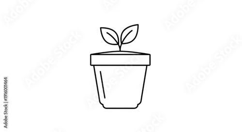 Small plant sprout in a pot with two leaves growing upwards naturally