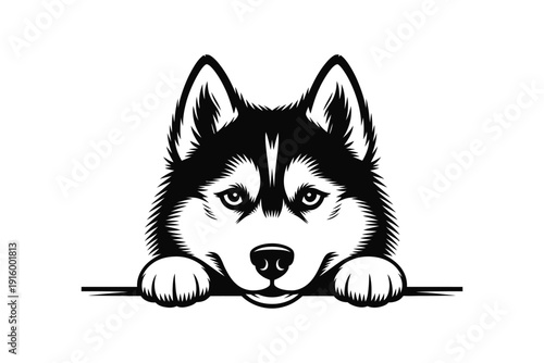 Husky dog vector illustration with a black and white color scheme
