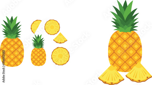 Pineapple fruit collection vector set with whole and sliced tropical illustrations